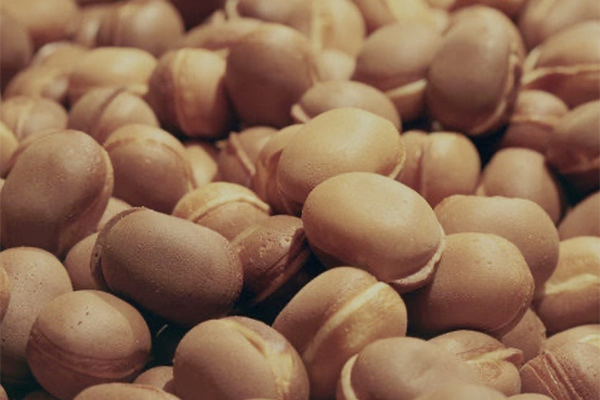 ベビーカステラ